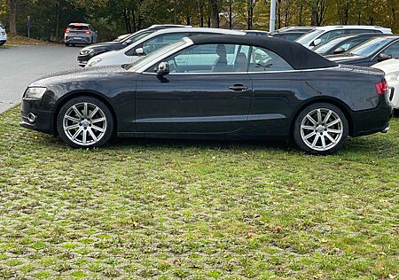 Audi A5 3.0 TDI (DPF) S tronic quattro Cabriolet -