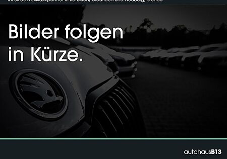 Skoda Kodiaq RS 2,0 TSI 4x4