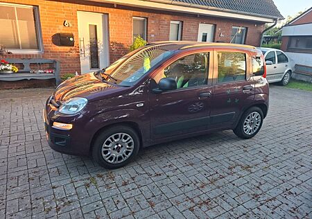 Fiat Panda 0.9 8V TwinAir WILD 4X4 Start&Stopp WI...