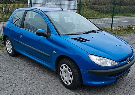 Peugeot 206 Fahranfänger Winterauto 1Jahr HU