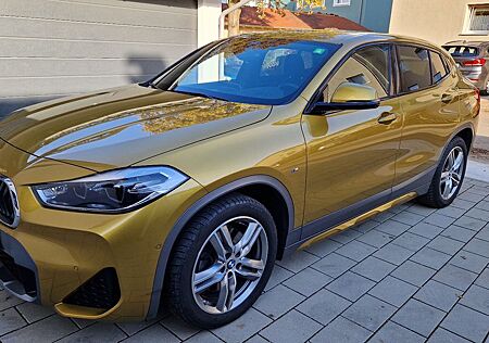 BMW X2 xDrive20d M Sport X, Navi-prof./Leder/AHK