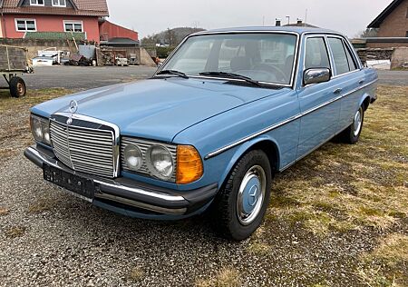 Mercedes-Benz 300 300D Klima Leder TÜV neu