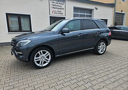 Mercedes-Benz ML 350 ML -Klasse CDI BlueTec AHK.
