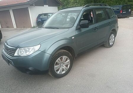 Subaru Forester Trend