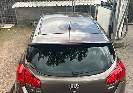 Kia Cee'd gebraucht kaufen Kia Cee'd / Ceed 1.6 GDI Spirit Spirit