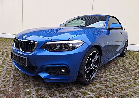 BMW 230 Cabrio i M Sport Kamera Leder ACC LED