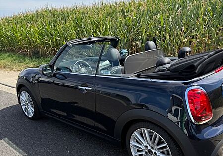 Mini Cooper Cabrio Yours Trim, Top Ausstattung