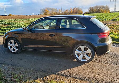 Audi A3 1.6 TDI 77kW Ambition