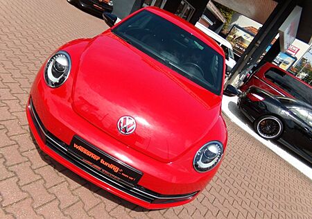 VW Beetle Volkswagen Lim. Sport, Fender Edition, Leder , Xenon