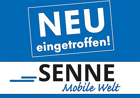 Seat Ibiza 1.0 TSI DSG Style Navi, LED, Kamera Autom.