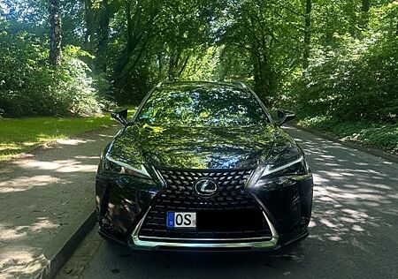 Lexus UX 250h Style Edition Style Edition (+Kamera)