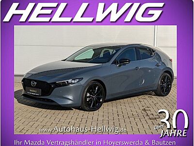 Mazda 3 5-Türer 2.5l (140PS) Homura Automatik Kamera N