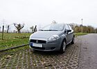 Fiat Punto 1.2 8V POP - Super Zustand