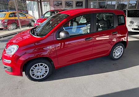 Fiat New Panda Panda Panda Hybrid 1.0