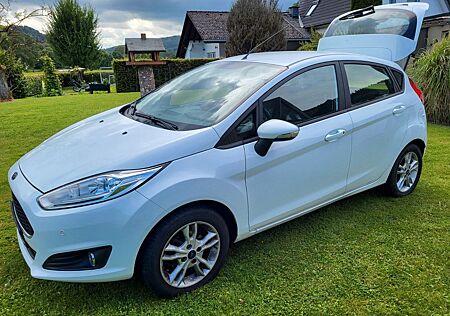 Ford Fiesta * 5türig * 4,5l/100 * PDC vo u hi * 8fach