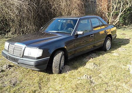 Mercedes-Benz 230