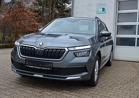 Skoda Kamiq Ambition/SHZ/SmartLink/Kamera