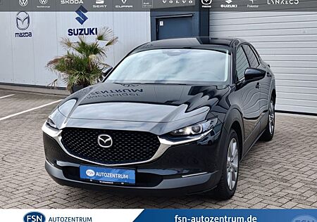 Mazda CX-30 Exclusive-line, Bose-Sound, 360°, Matrix-L