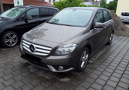 Mercedes-Benz B 200 Navi AHK PTS 8-fach bereift
