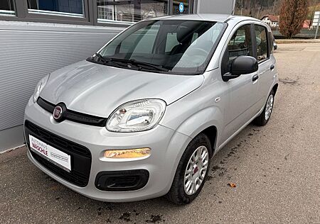 Fiat Panda Easy 1.2 8V