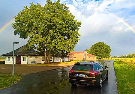 Citroën C5 X7 3.0 V6 HDi Criollo