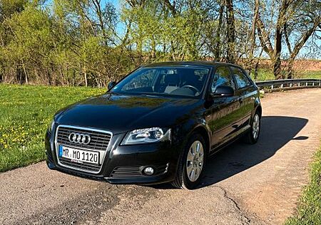Audi A3 8P 1.6L Sportback
