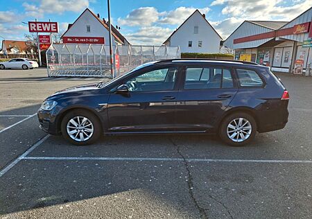 VW Golf Volkswagen 1.6 TDI BlueMotion Comfortline Variant ...