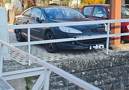 Peugeot 407 Sport 165 Sport