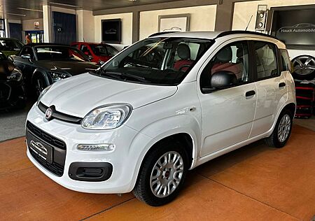 Fiat Panda My 1.HAND/KLIMA/MEDIA-IN