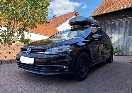 VW Golf Volkswagen 1.6 TDI DSG, 8fach bereift, Zahnriehmen ern