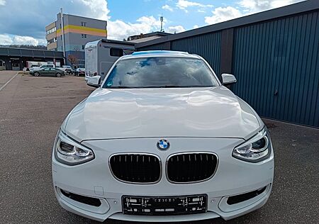 BMW 118i F20 *Selbstparkfunktion*