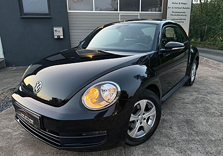 VW Beetle Volkswagen 1.2 TSI* PDC*Tempomat*Tüv Neu*