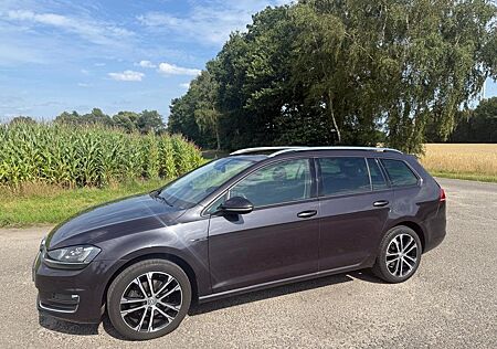 VW Golf Volkswagen 1.6 TDI BMT LOUNGE Variant 2 Besitzer
