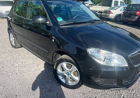 Skoda Fabia Family