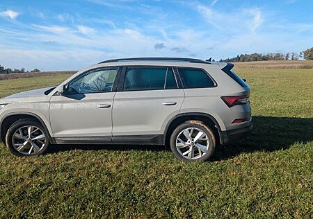 Skoda Kodiaq 2.0l TDI 147kW DSG 4x4 CLEVER CLEVER