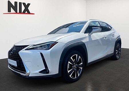 Lexus UX 250h Hybrid Style Edition KAMERA LED
