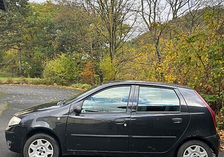 Fiat Punto gebraucht kaufen Fiat Punto 1.2 8V -