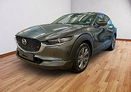Mazda CX-30 2.5 Takumi Leder AUTOMATIK Bose, Matrix, 3