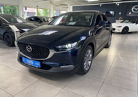 Mazda CX-30 2.0 l G 122 PS Exclusive-line COMB DASO DE