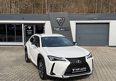 Lexus UX 250 h Style.LED.ACC.Kamera.