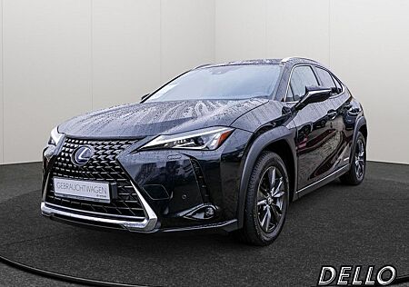 Lexus UX 250h Amazing KAMERA ACC ALUFELGEN 17 ZOLL LED