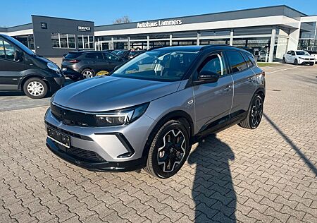 Opel Grandland X Grandland GS Line Hybrid*NAVI*Winterpaket*
