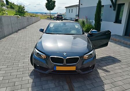 BMW 220i Cabrio Advantage Advantage