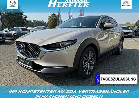 Mazda CX-30 X 186PS EXCLUSIVE-L MATRIX BOSE E-HECKKL S