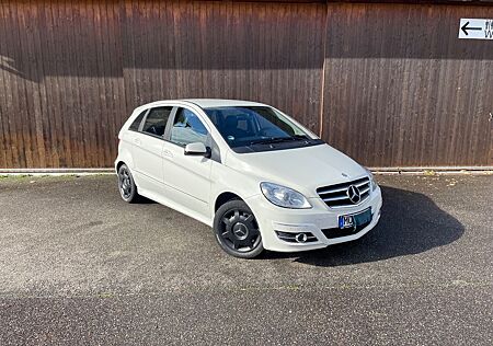 Mercedes-Benz B 180 gebraucht kaufen Mercedes-Benz B 180 CDI -