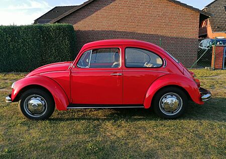 VW Käfer Volkswagen