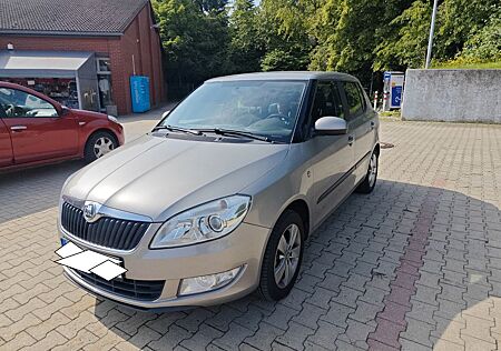 Skoda Fabia 1.4l MPI Fresh Klimaautom. Tempomat