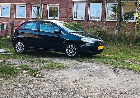 Fiat Punto gebraucht kaufen Fiat Punto 1.4 8V Active Active