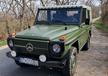 Mercedes-Benz G 250 WOLF Vollständiger Renovierung