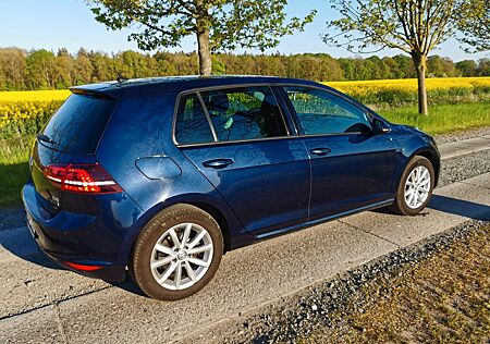 VW Golf Volkswagen 1.6 TDI 4MOTION Vollausstattung Zweitwagen